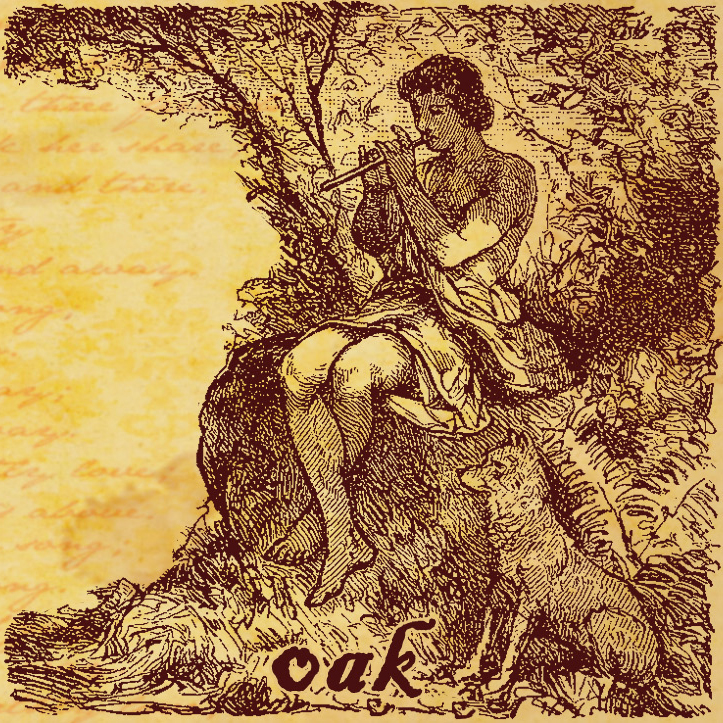 oak cover
