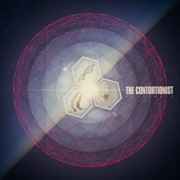 The Contortionist