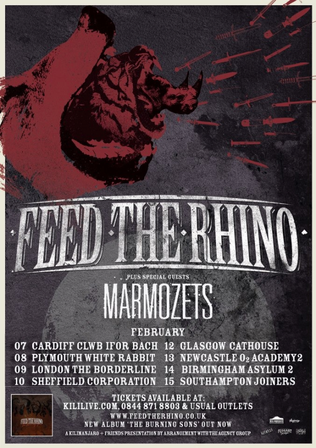 feed the rhino