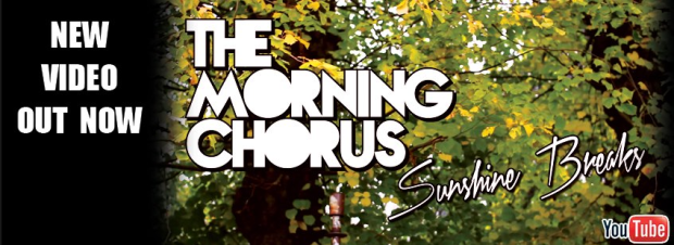 the morning chorus