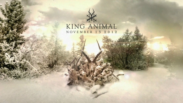 king animal