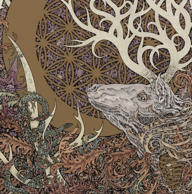 circle takes the square