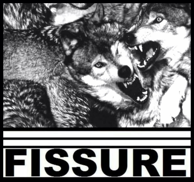 fissure