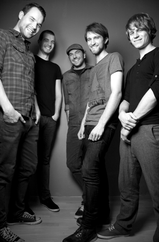 punchers plant punchers plant