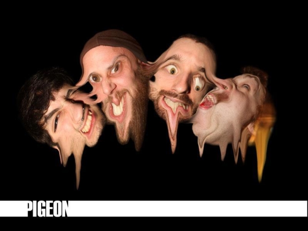 PIGEON band
