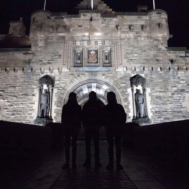 BIRDS IN ROW BIRDS IN ROW