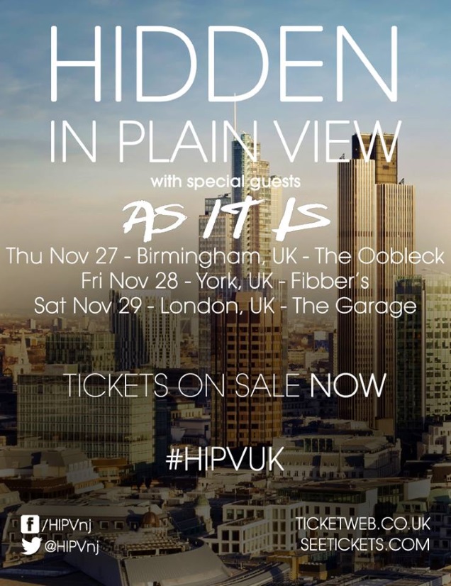 HIDDEN IN PLAIN VIEW shows