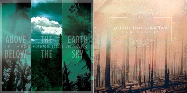 IF THESE TREES COULD TALK!