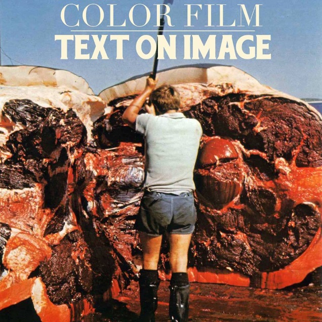 COLOR FILM! cover