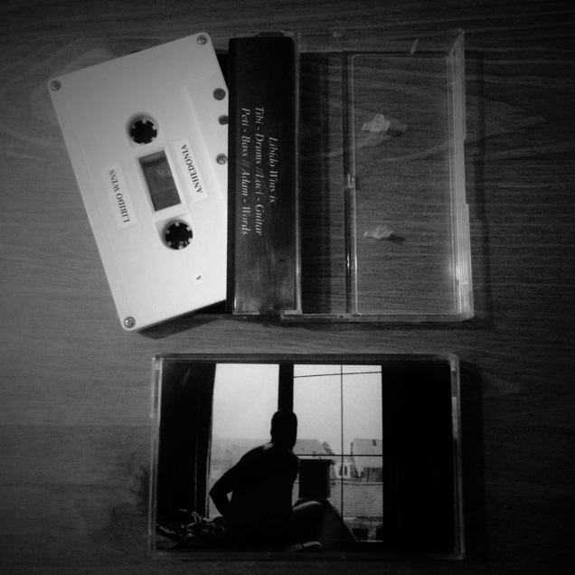 LIBIDO WINS cassette