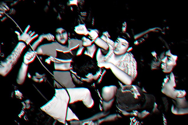 THE MARMOSET KIDZ 2013