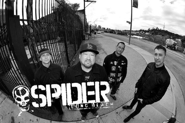 SPIDER band