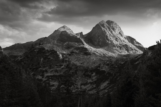 MENTAL ARCHITECTS art 1