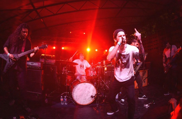 ILLUSTRATIONS by David Brendan Hall