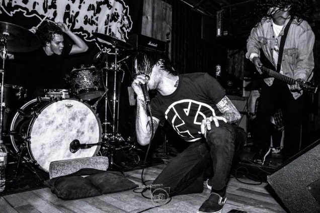 ILLUSTRATIONS by Zoe Dillman